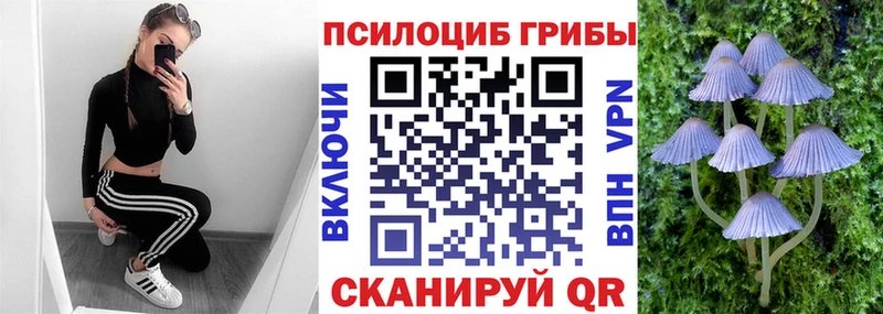 Псилоцибиновые грибы мицелий  Новочеркасск 